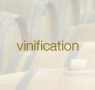 vinification