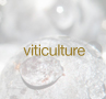 viticulture